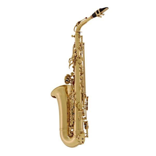 Elkhart 100AS Saxophone alto d'étude